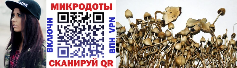 Галлюциногенные грибы мицелий  хочу   Тюмень 